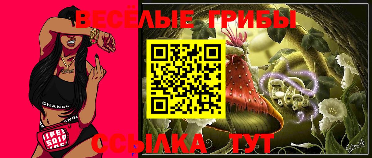 Псилоцибиновые грибы Psilocybe  Галлюциногенные грибы мицелий  Ангарск  Вход с VPN 