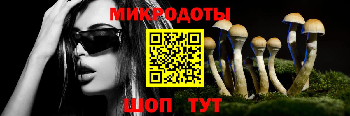 Псилоцибиновые грибы Psilocybe Ангарск